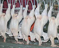 Bakan Çağlayan'dan iki müjde