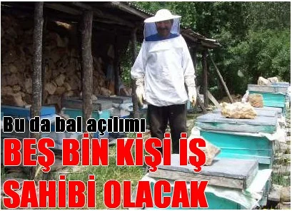 Bal gibi proje