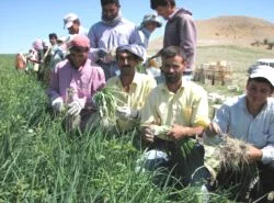 Beypazarı'nda Ramazan'a göre mesai