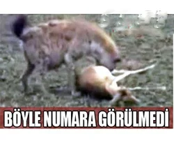 Böyle bir numara yok!