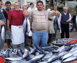 Çingene Palamut'ları tezgahlarda