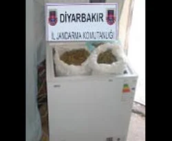 Derin dondurucuda esrar sevkiyatı yaptılar!