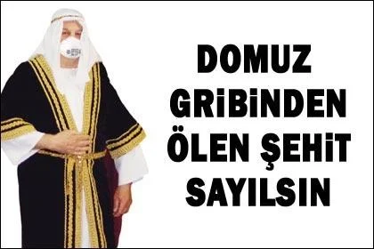 Domuz gribinden ölen şehit midir?