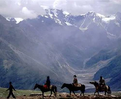Himalayalar'da doğal yaşam tehdit altında