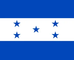 Honduras'ta darbe tartışması sürüyor