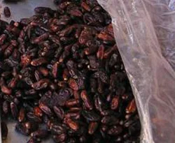 Hurmaya satışlarında artış