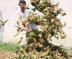 'İhtiyacın kadar ürün sat'