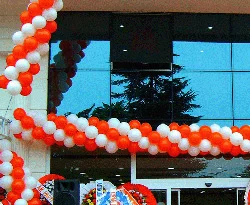 İzdiham beklenen açılışa 100 kişi geldi