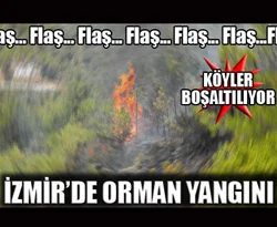 İzmir'de orman yangını