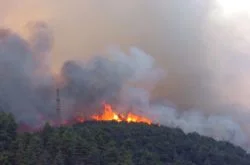 Kocaeli'ndeki yangın kontrol altına alınamıyor
