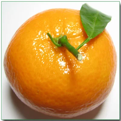 Mandalina dalında satıldı