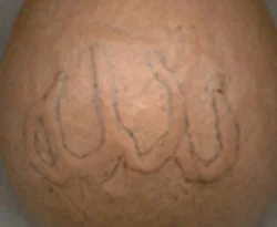 Ördek yumurtasında "Allah" yazısı