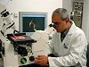 Plastikten yarı iletken yapıldı