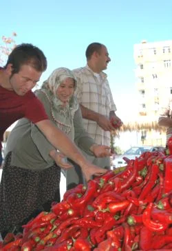 Salçalık kırmızı biber pazarı açıldı