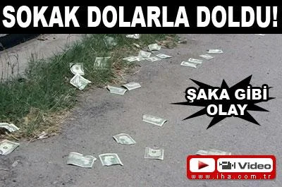 Sokak dolarla doldu!