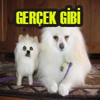 Tıpkı gerçek gibi