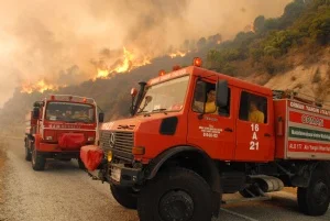 Yalova'da yangın: 40 evin tamamı kül oldu