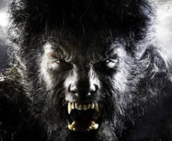 Yeni 'Kurt Adam' Benicio Del Toro