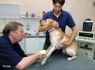 Adam köpeği ısırdı haber oldu