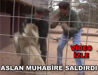 Aslan saldırdı