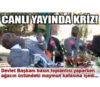 Bak sen şu maymunun yaptığına!