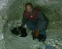 Mağarada kedi ve köpeklerle yaşıyor