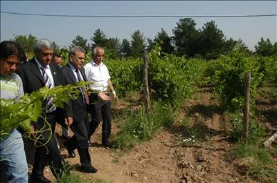 Organik tarımda hedef markalaşma