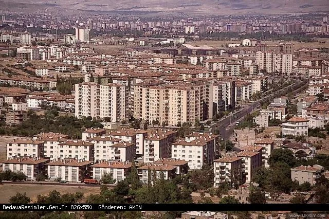 Şeker toplamaya çıkan 3 çocuktan haber yok