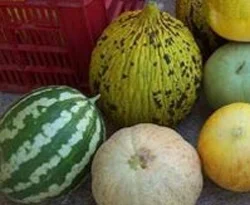 Tansiyonun en tatlı iki ilacı