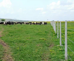 Tarımda yeni uygulama alanları