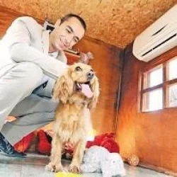 Tatilci köpekleri için klimalı 25 villa