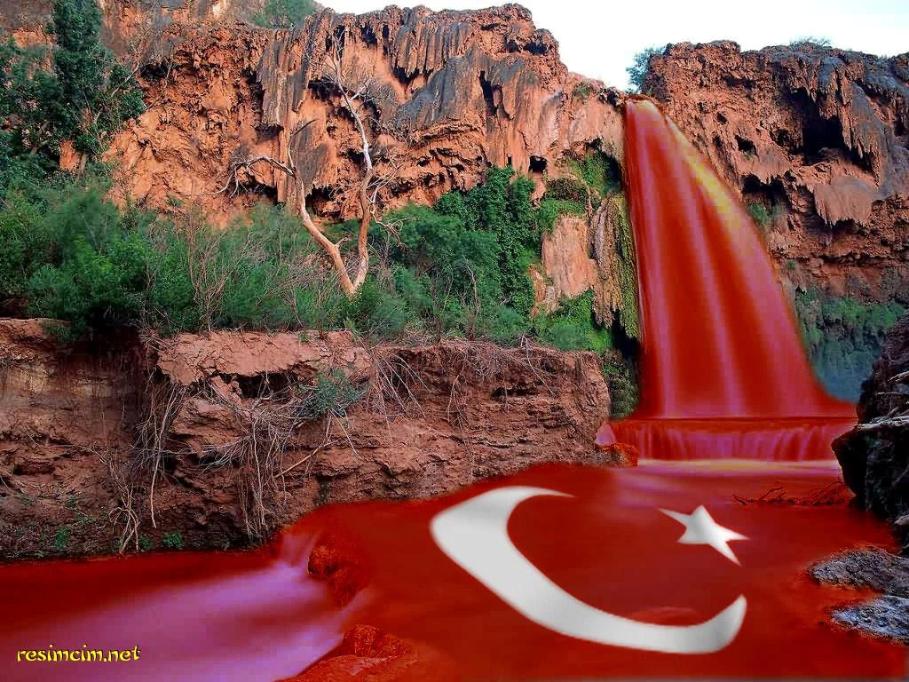 Üniter devlet mi ulus devlet mi?