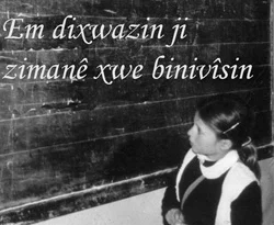 YÖK onayladı, 'Kürtçe enstitü' açılacak
