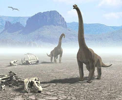 65 milyon yıllık dinozor yumurtası