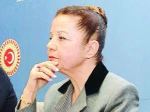 CHP'li Keleş Türkiye'yi veto etti