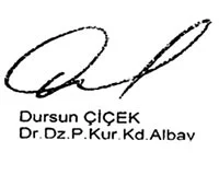 Çiçek'in planı askerî yargıyı bitirdi