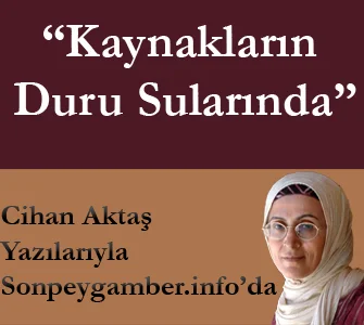 Cihan Aktaş, Sonpeygamber.info'da