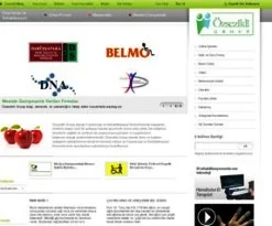 Engellilerin de kullanabileceği web sitesi tasarlandı!