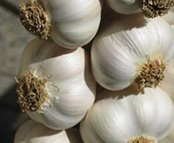 Hastalığa karşı sarımsaklı çözüm