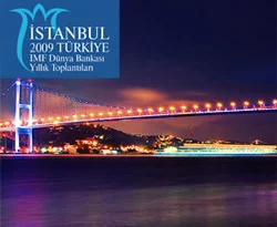 İşte IMF'nin aldığı önemli kararlar