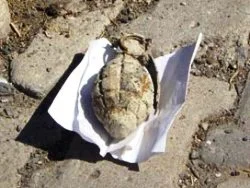 Niğde'de el bombası bulundu