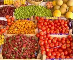 Organik tarımda yabancılara kolaylık