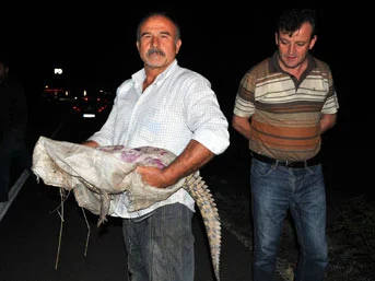 Türk'ün timsahla imtihanı
