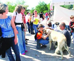 Ülkemizi ABD'de de ziyaret ettiler