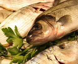 Vitaminin azı da çoğu da zarar