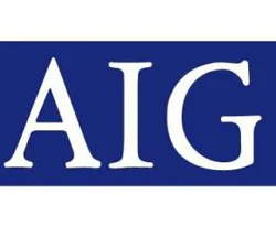 AIG 455 milyon dolar kâr etti
