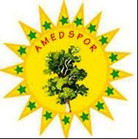 Amedspor resmen kuruldu