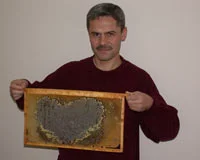 Arılar kalp şeklinde bal yaptı