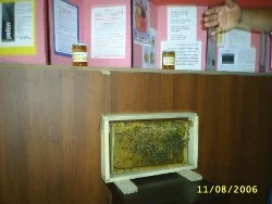 Bakü'de bal sergisi yapıldı