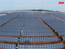 Buğday yerine güneş enerjisi panelleri